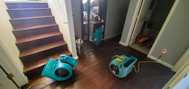 Best Water damage restoration mold remediation  in Denton, TX