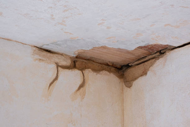  Denton, TX Water damage restoration Pros