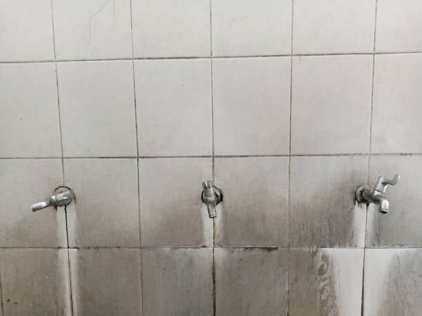 Best Basement water damage restoration  in Denton, TX
