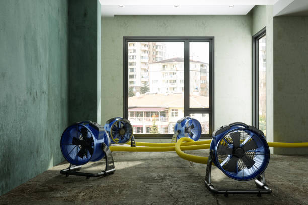 Best 24/7 water damage repair  in Denton, TX